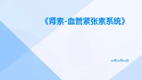 肾素-血管紧张素系统