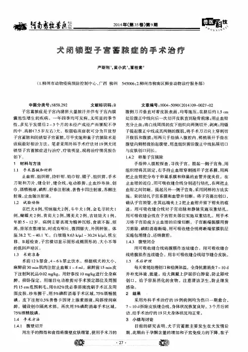 犬闭锁型子宫蓄脓症的手术治疗