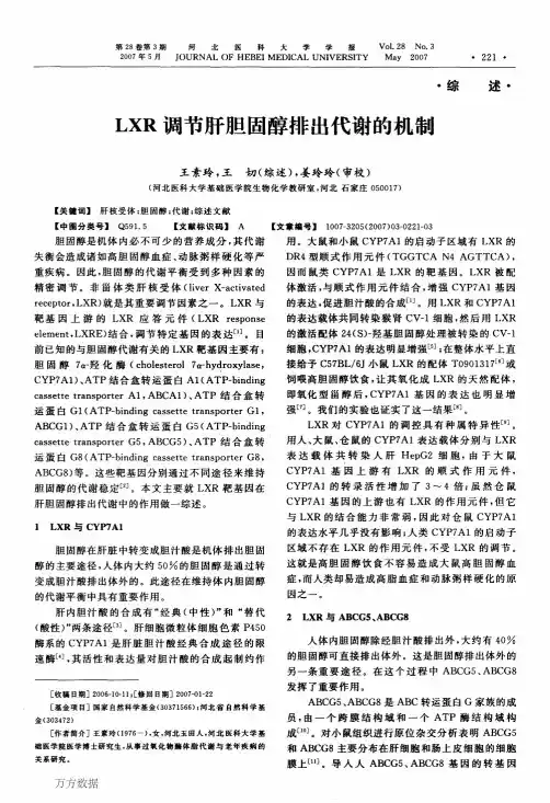 LXR调节肝胆固醇排出代谢的机制