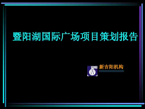 江苏张家港暨阳湖国际广场项目策划报告_221PPT