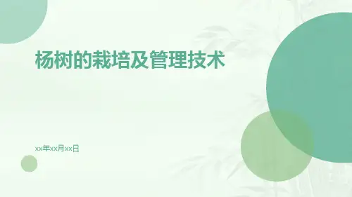 杨树的栽培及管理技术