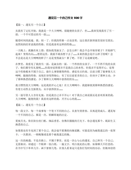 遇见另一个自己作文500字