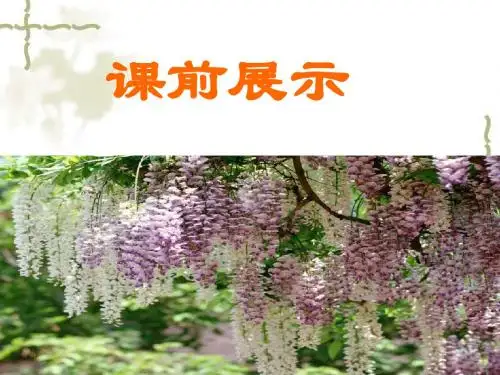 4、《紫藤萝瀑布 》