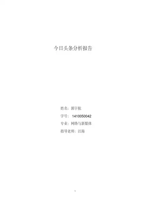 今日头条分析报告汇总