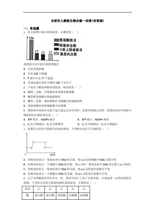合肥市人教版生物必修一试卷(含答案)