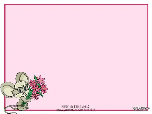 高考化学实验专题复习