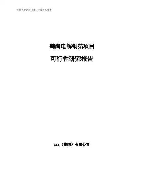 鹤岗电解铜箔项目可行性研究报告