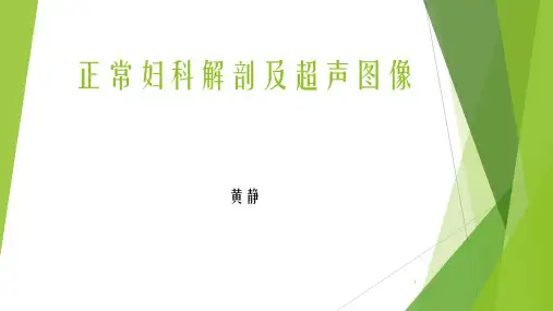 子宫正常解剖及超声图像PPT参考课件