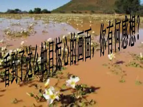 爱世界