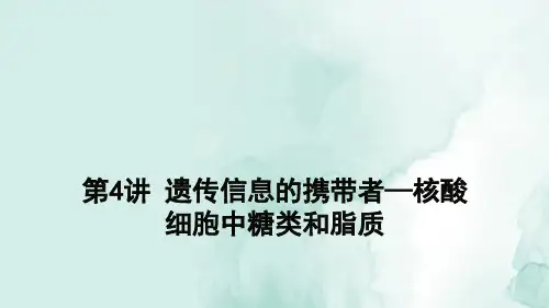 高三生物一轮复习精品课件6：第4讲 遗传信息的携带者—核酸 细胞中糖类和脂质