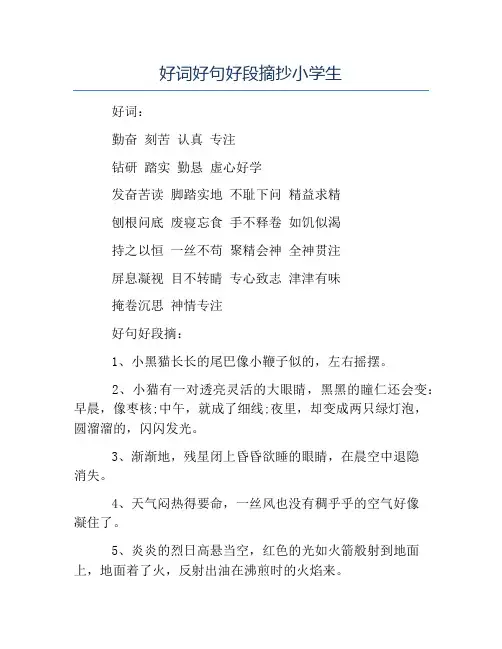 精品-好词好句好段摘抄小学生