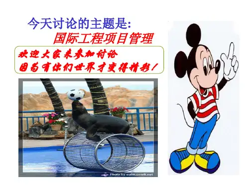 国际工程项目管理.