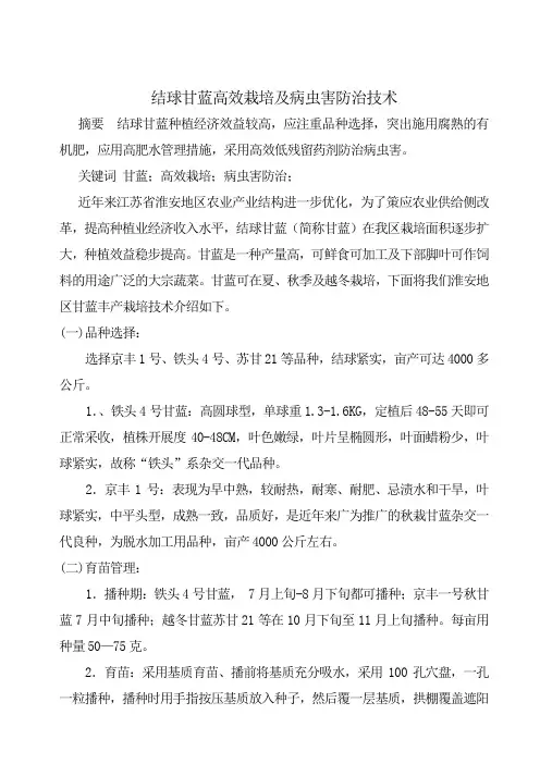 结球甘蓝高效栽培及病虫害防治技术