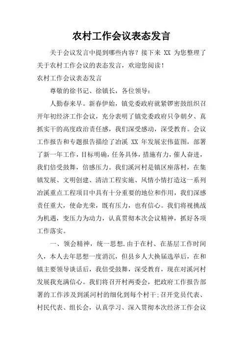 农村工作会议表态发言