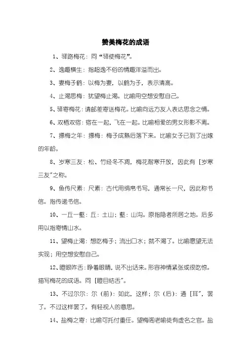 赞美梅花的成语