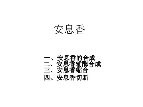 安息香