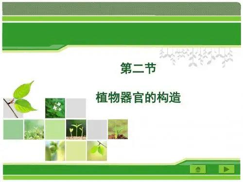 第二节 植物器官的构造演示课件