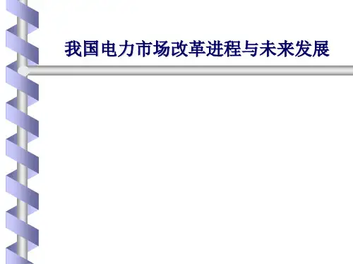 电力市场案例3我国电力改革进程与未来发展精品PPT课件