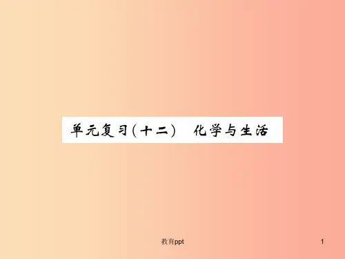河南省201X年秋九年级化学下册第十二单元化学与生活单元复习十二习题课件 新人教版