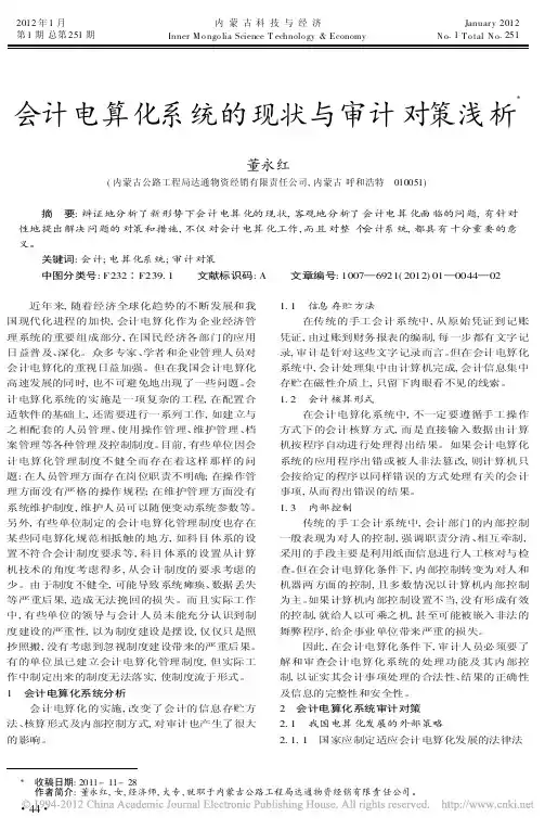 会计电算化系统的现状与审计对策浅析