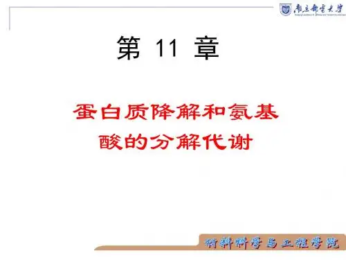 第10章 蛋白质的分解与氨基酸的分解合成代谢