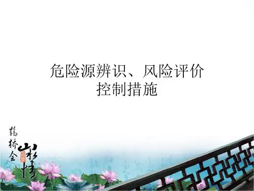 风险识别
