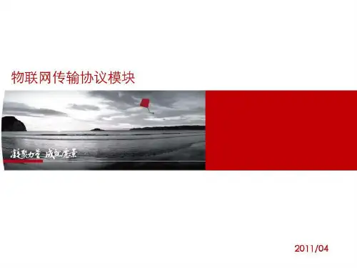 物联网传输协议共39页文档