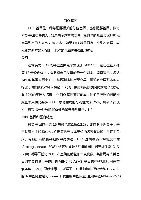 什么是FTO基因