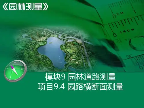 工作任务943横断面上点位的测定手水准法