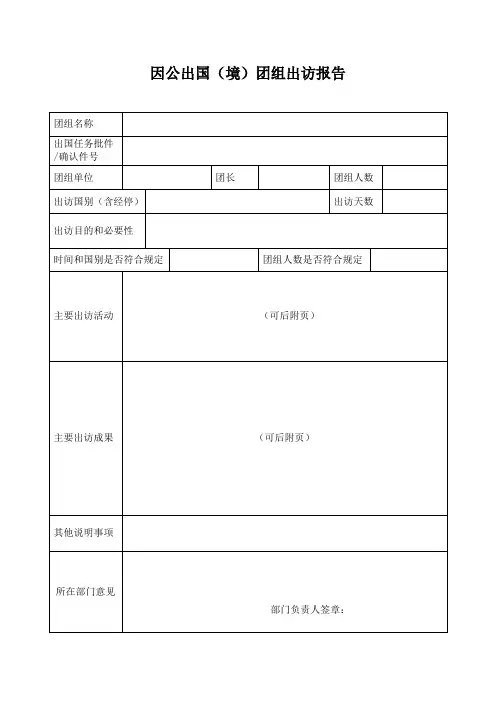 因公出国(境)团组出访情况报告表(拟)