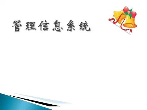 第一章信息系统概述ppt课件