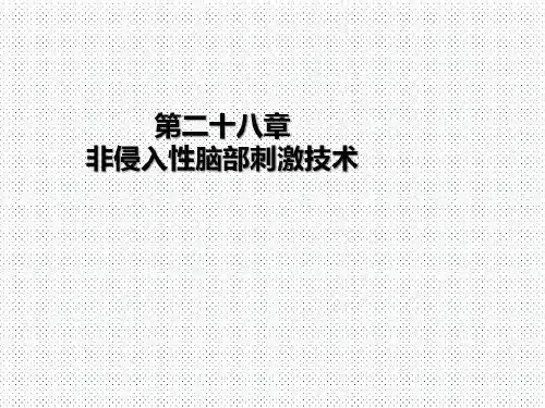 非侵入脑部部刺激技术共36页