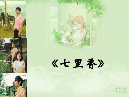 《七里香》阅读理解