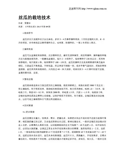 丝瓜的栽培技术 2