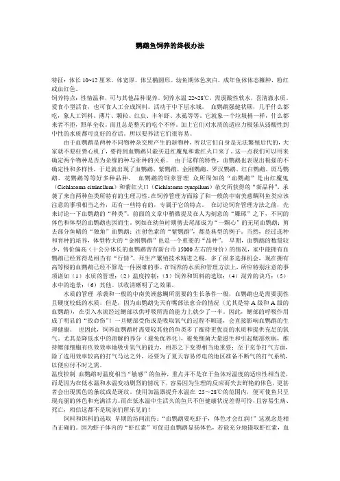 鹦鹉鱼饲养的终极办法