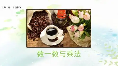 (北师大版)--二年级数学上册--三-数一数与乘法