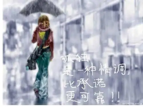 孤独之旅 ppt
