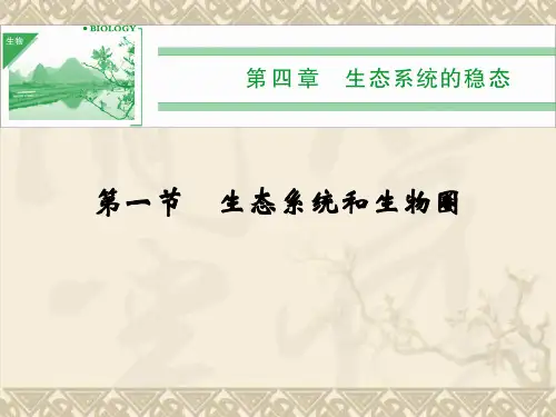 高中生物 4-1生态系统和生物圈课件 苏教版必修3