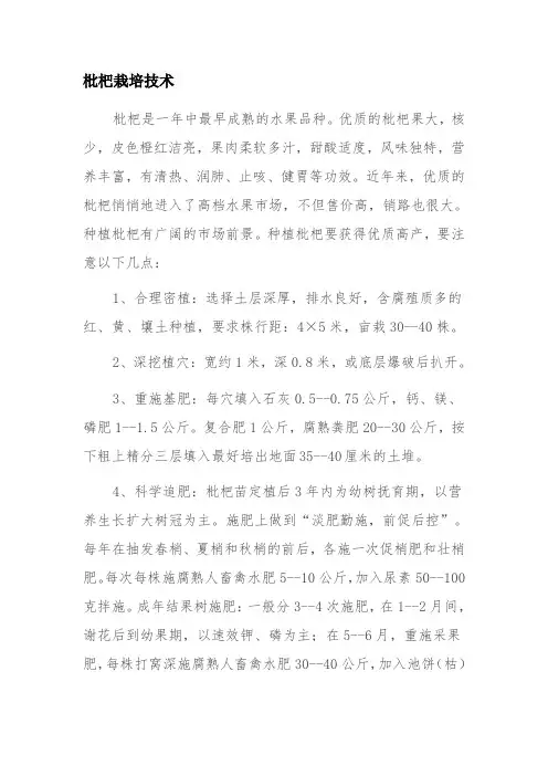 枇杷栽培技术