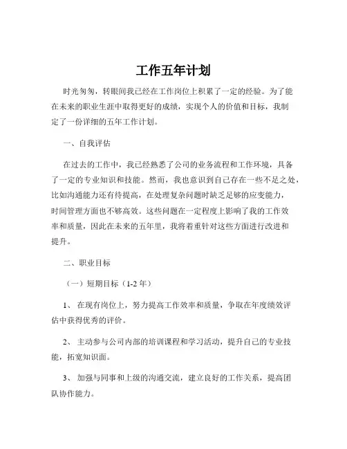 工作五年计划 2