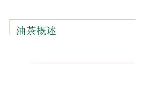 油茶概述