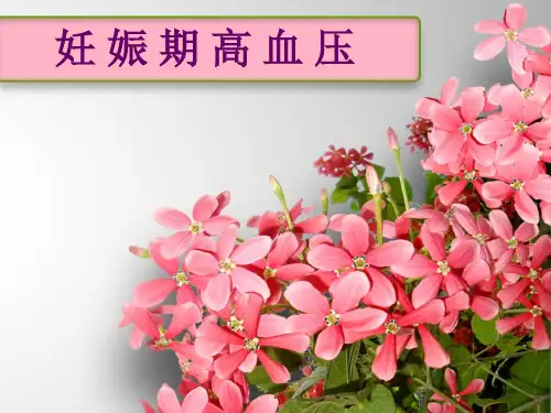 妊娠期高血压护理-护理查房-诊断及护理措施 PPT课件