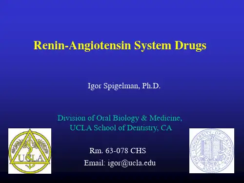 【高血压英文PPT精品课件】Renin-Angiotensin System Drugs