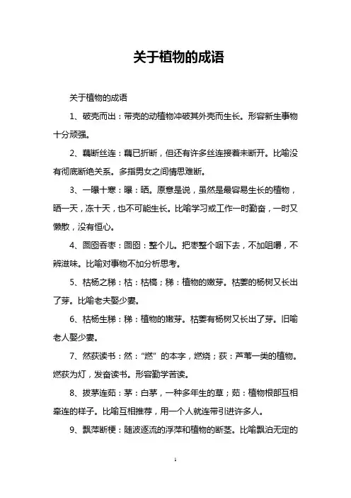 关于植物的成语