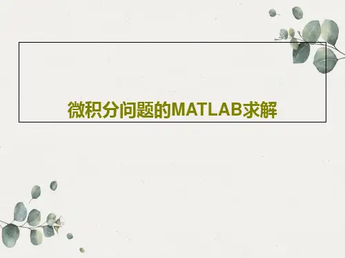 微积分问题的MATLAB求解共53页