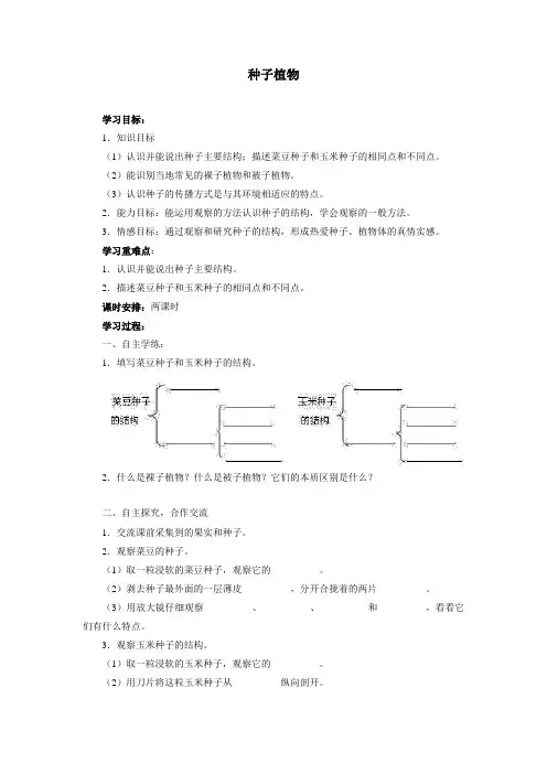 种子植物导学案二