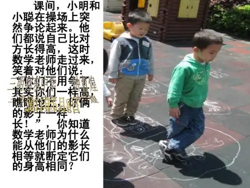 《三角形》单元复习课(2)