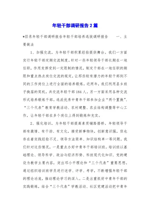 年轻干部调研报告2篇