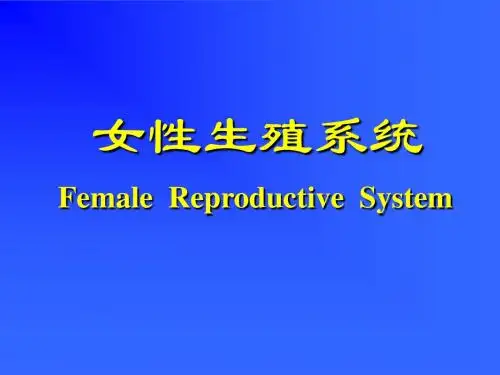 组织胚胎学课件组织胚胎学课件16-女性生殖系统