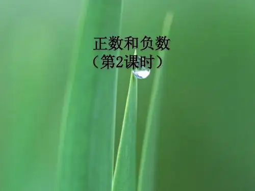 2.1《正数和负数》课件(华师大) (6)